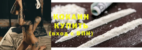 прущие крисы Верея